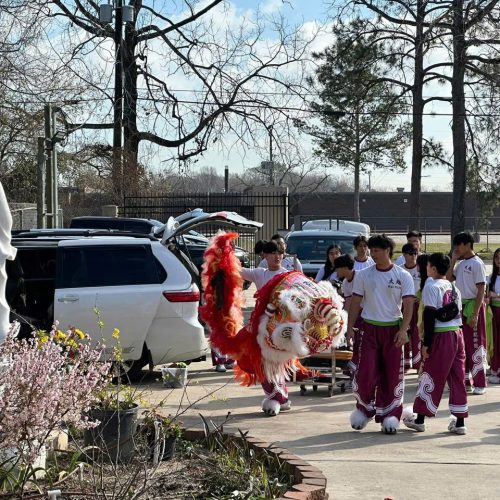 2824541543257350977 (3)